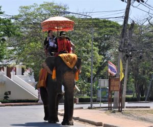 Ayutthaya 6
