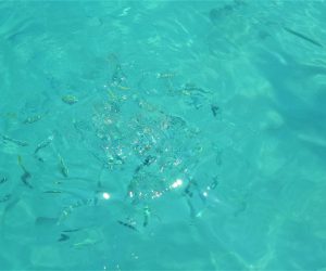 Ko Chang 4 Island Tour 1