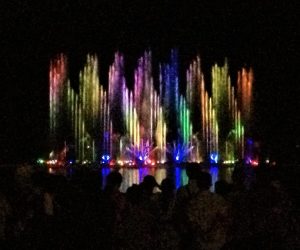 Night Safari 4