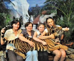 Night Safari 5