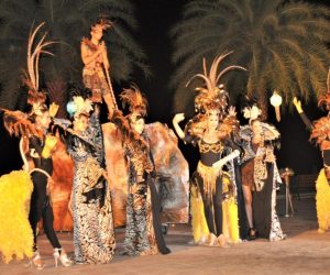 Night Safari 8