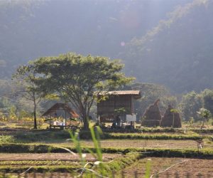 Thai village