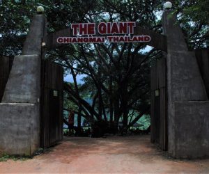 The Giant 2